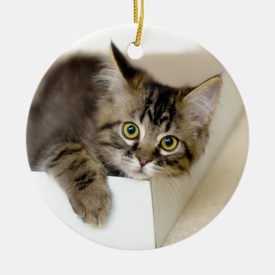Kitten in a Box ornament