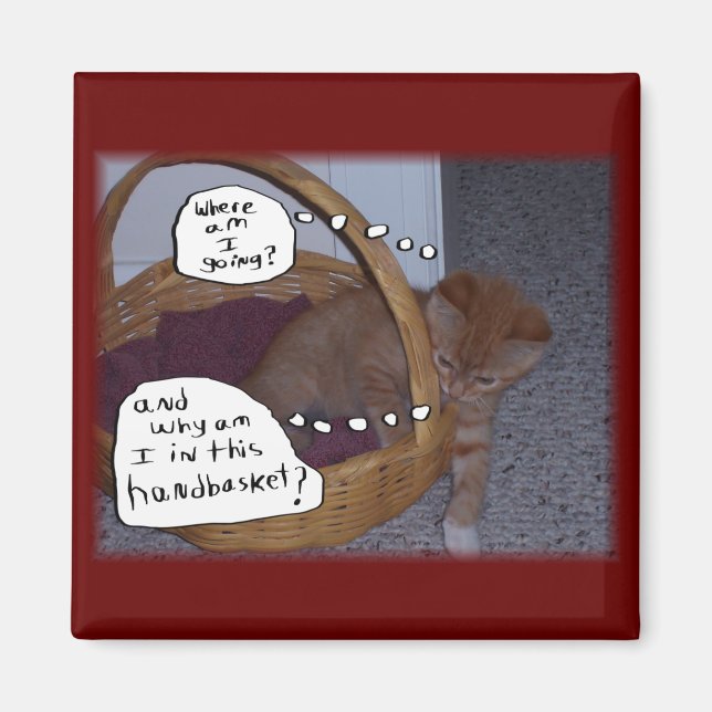 Kitten in a Handbasket Magnet (Front)