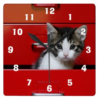 Kitten in a red drawer square wall clock