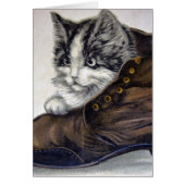 Kitten in a Shoe (Front)