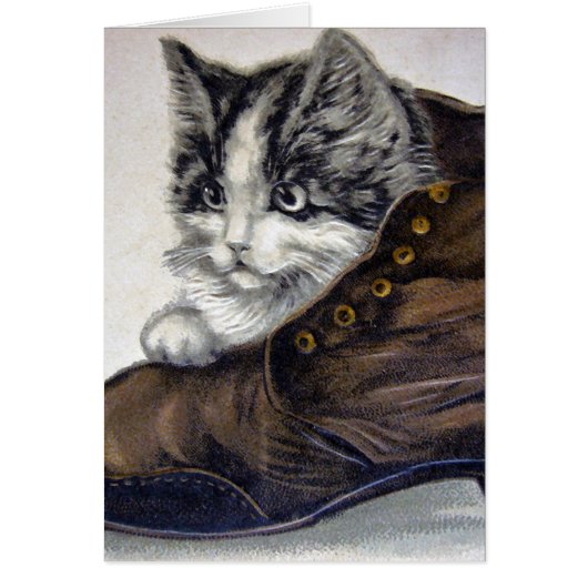 Kitten in a Shoe Cards (Front)