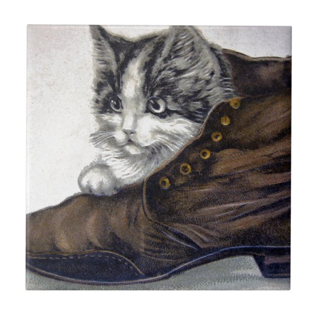 Kitten in a Shoe Tile (Front)