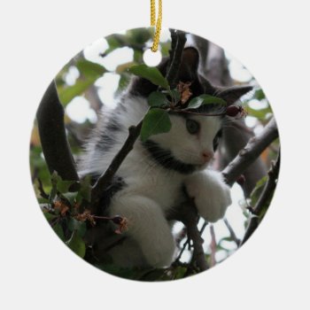Kitten In A Tree Ornament by BuzBuzBuz at Zazzle