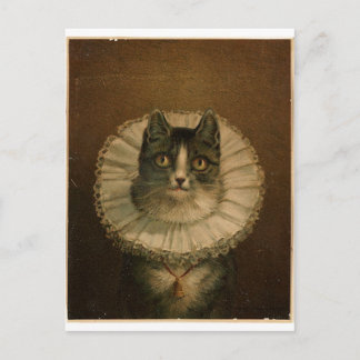 Kitten in an Elizabethan ruff Postcard