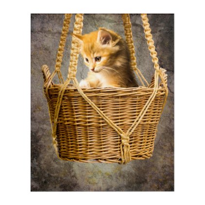 Kitten in basket acrylic wall art