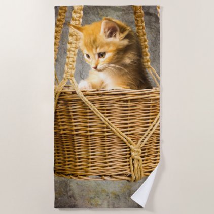 Kitten in basket beach towel