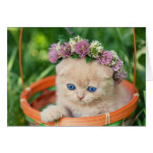 Kitten in Basket Flower Crown (Front Horizontal)