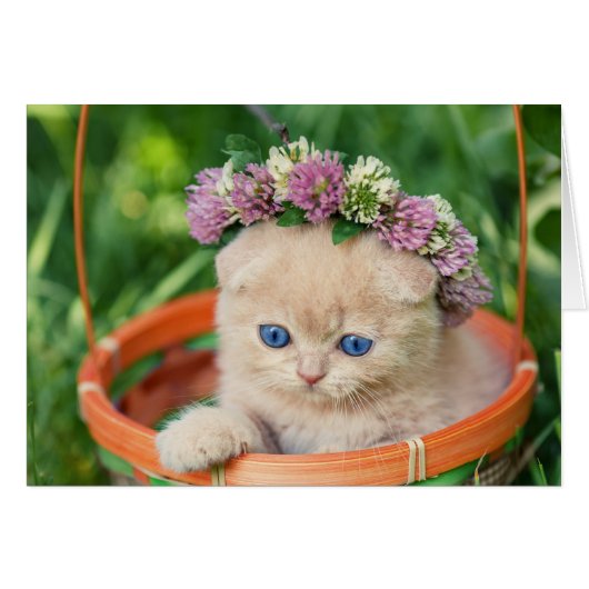Kitten in Basket Flower Crown Cards (Front Horizontal)