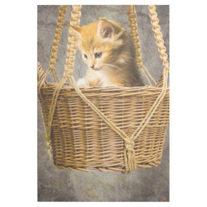 Kitten in basket gallery wrap