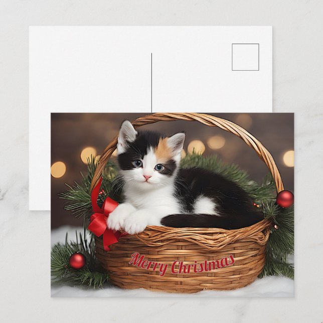 Kitten in Basket Holiday Postcard (Front/Back)