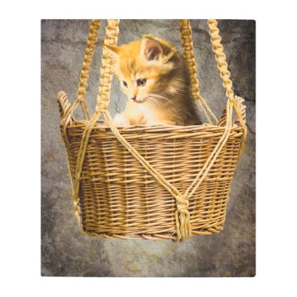 Kitten in basket metal print