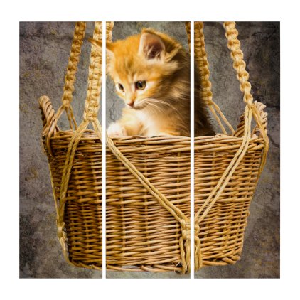 Kitten in basket triptych