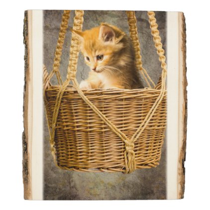 Kitten in basket wood panel