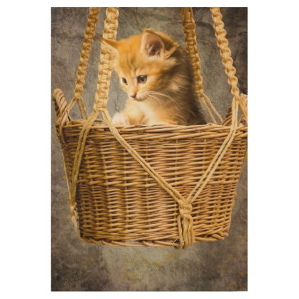 Kitten in basket wood poster