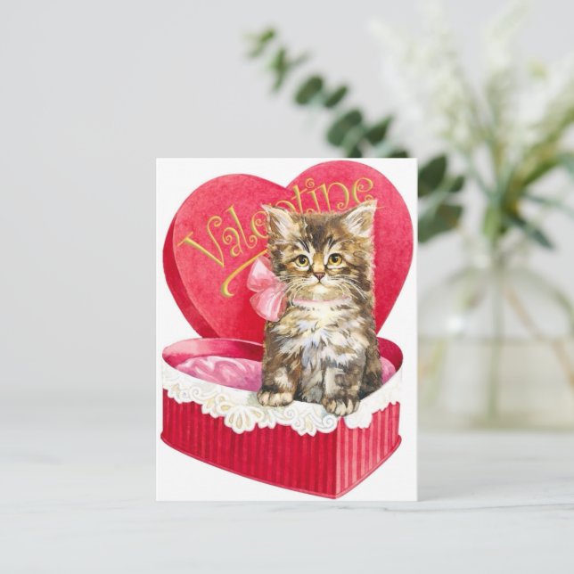 Kitten in Candy Box Postcard (Standing Front)