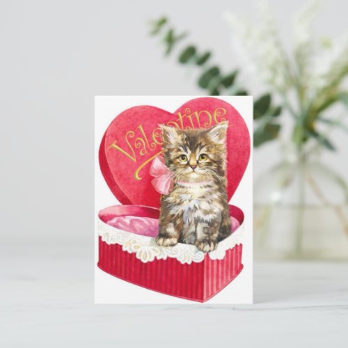 Kitten in Candy Box Postcard