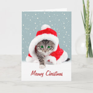 Kitten In Christmas Santa Hat and Snowflakes Card