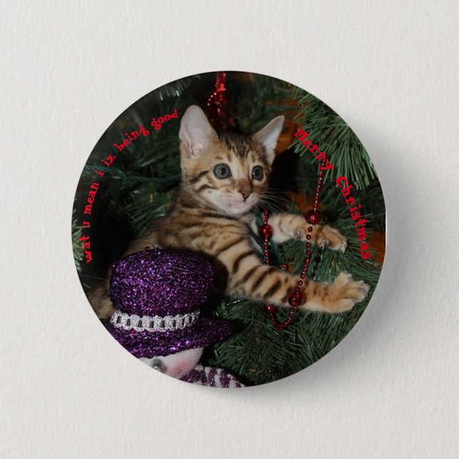 Kitten in Christmas tree  Button (Front)