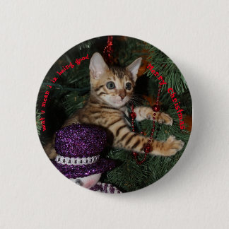 Kitten in Christmas tree Button