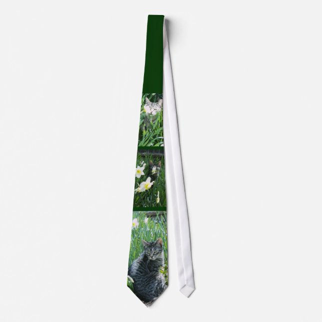 Kitten In Daffodils Tie (Front)