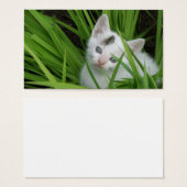Kitten In Grass Business Card (Front & Back)