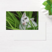 Kitten In Grass Business Card (Desk)