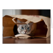 Kitten in Grocery Bag (Front Horizontal)