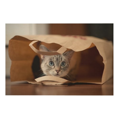 Kitten in Grocery Bag Wood Wall Decor