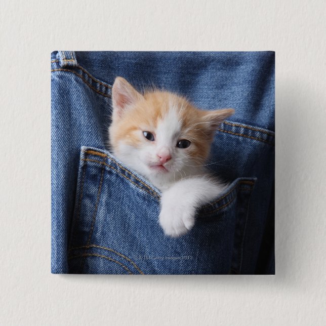 kitten in jeans bag pinback button (Front)