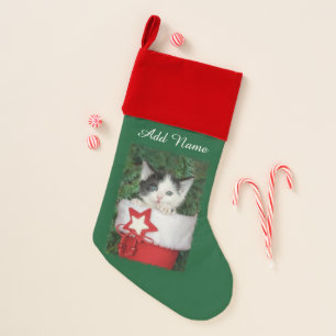 Kitten in red Santa Claus Boot Stocking Christmas