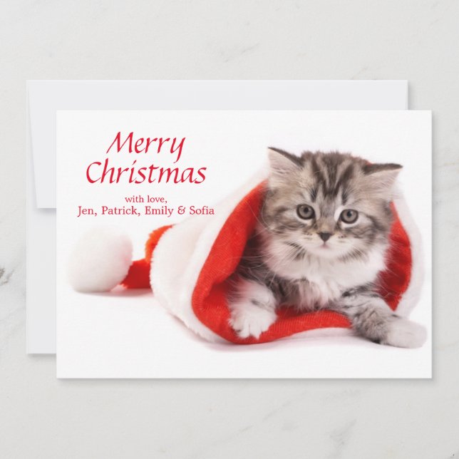 Kitten in Santa Hat Holiday Card (Front)