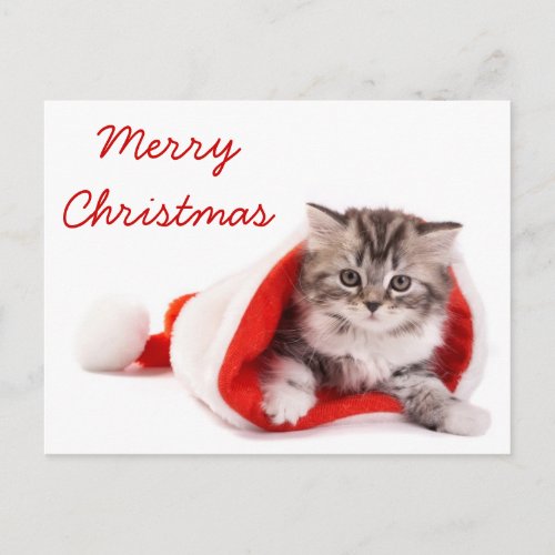 Kitten in Santa Hat Holiday Postcard