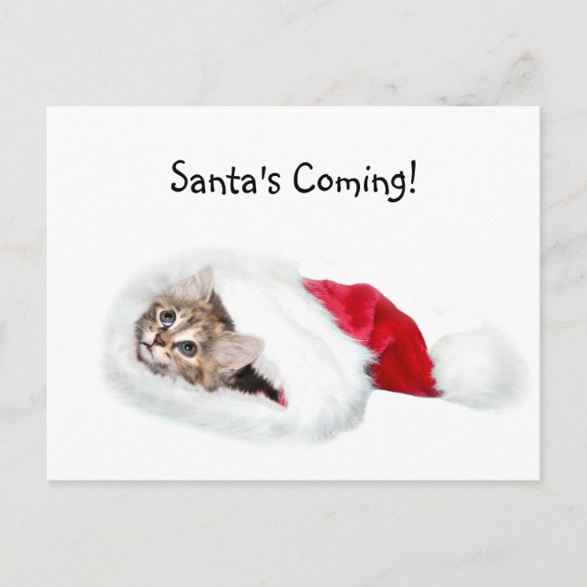 Kitten in Santa Hat Holiday Postcard (Front)