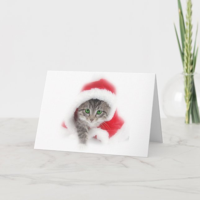 Kitten in Santa Holiday Card (Front)
