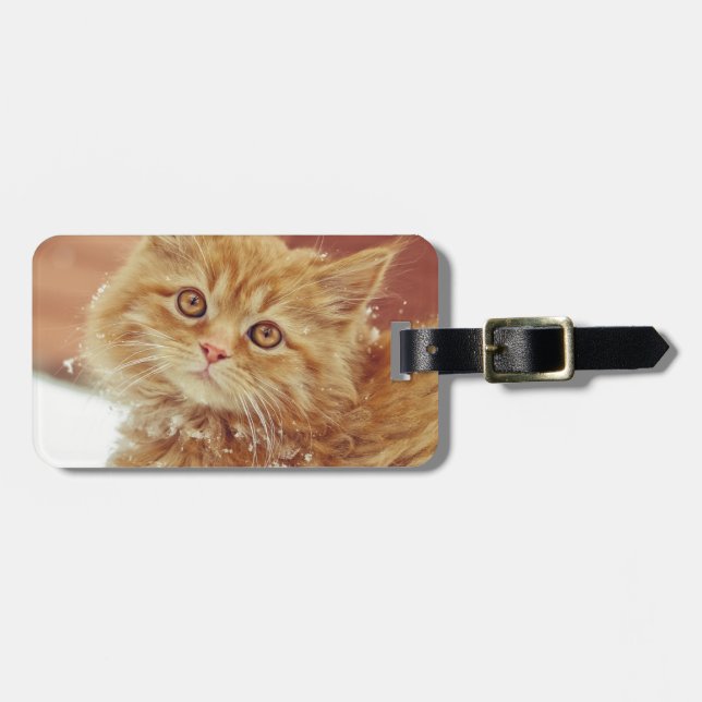 Kitten in Snow Luggage Tag (Front Horizontal)