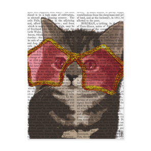 Kitten in Star Sunglasses Postcard