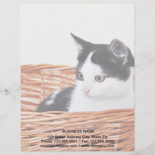 Kitten in the basket letterhead (Front)