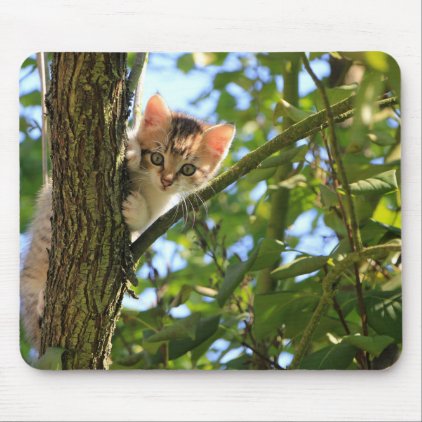 Kitten in Tree Mouse Pad
