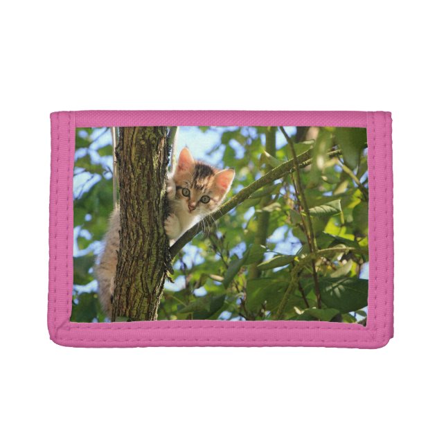 Kitten In Tree Trifold Wallet (Front)