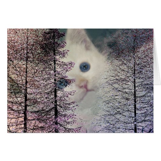 Kitten in Woods Cards (Front Horizontal)