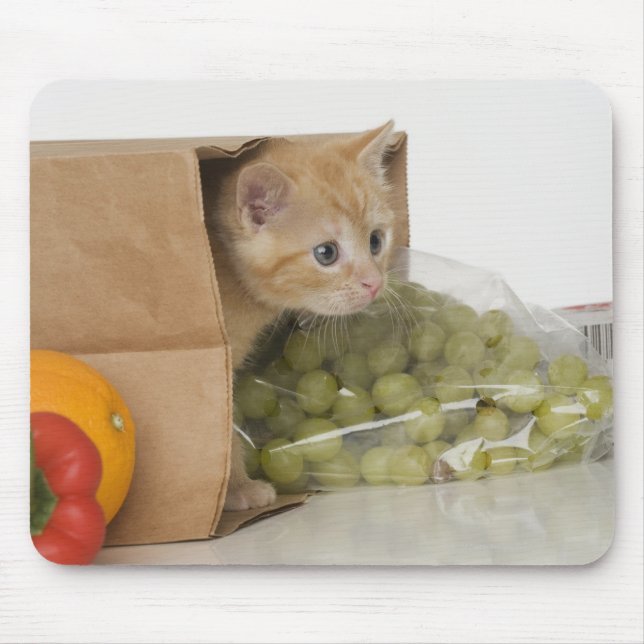 Kitten inside grocery bag mouse pad (Front)