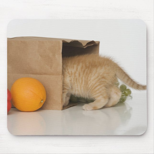 Kitten inside grocery bag mouse pad (Front)