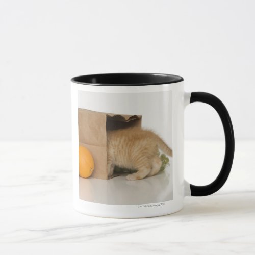 Kitten inside grocery bag mug