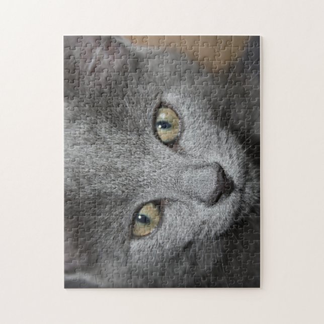 kitten jigsaw puzzle (Vertical)