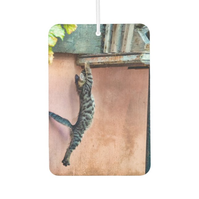 Kitten jumping air freshener (Front)