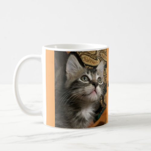 Kitten Keep Looking Up Mug