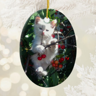 Kitten Keepsake Two Sided Photo Ceramic Ornament