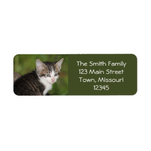 Kitten Label