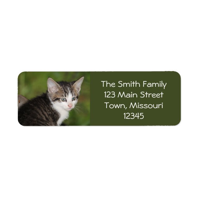Kitten Label (Front)