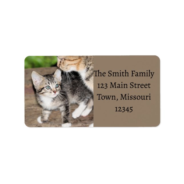 Kitten Label (Front)